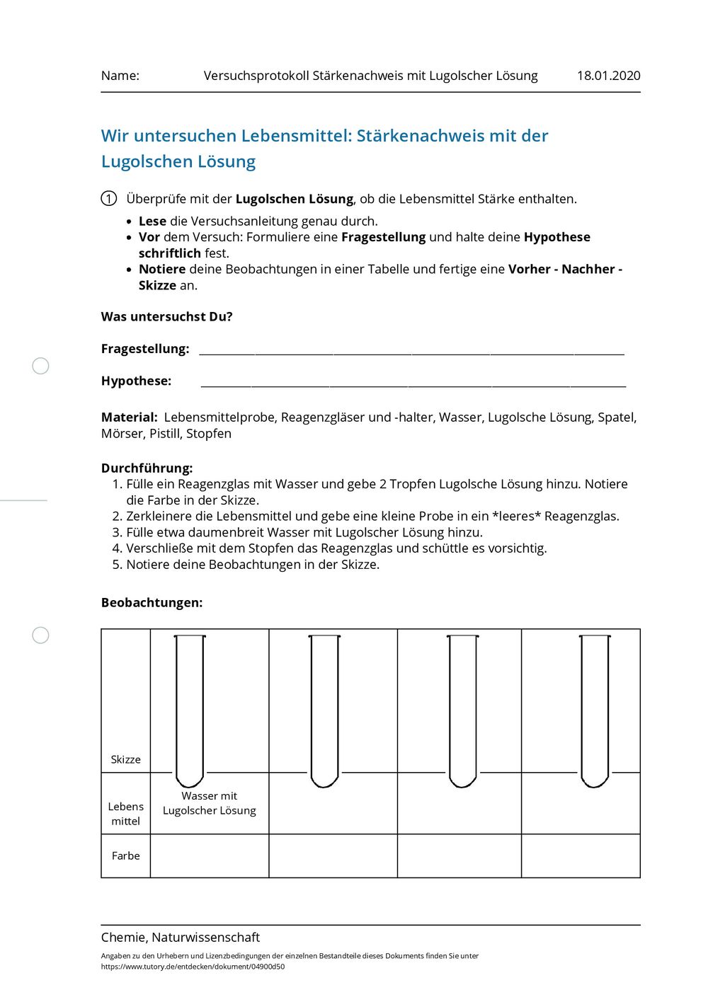 rotkohl experiment auswertung biomembran