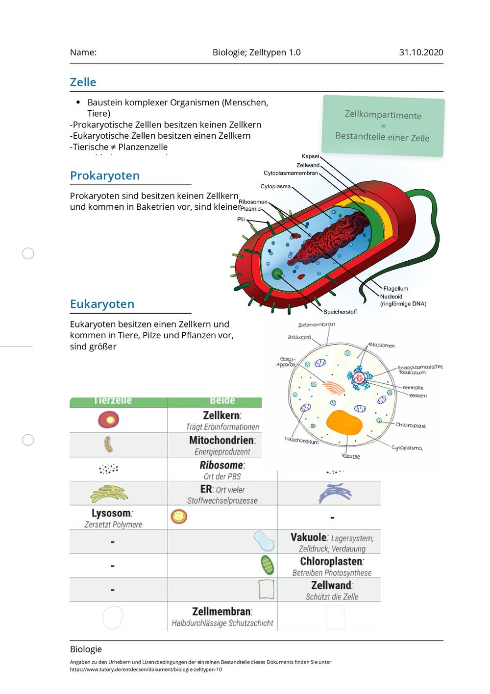 Arbeitsblatt - Biologie Zelltypen 10