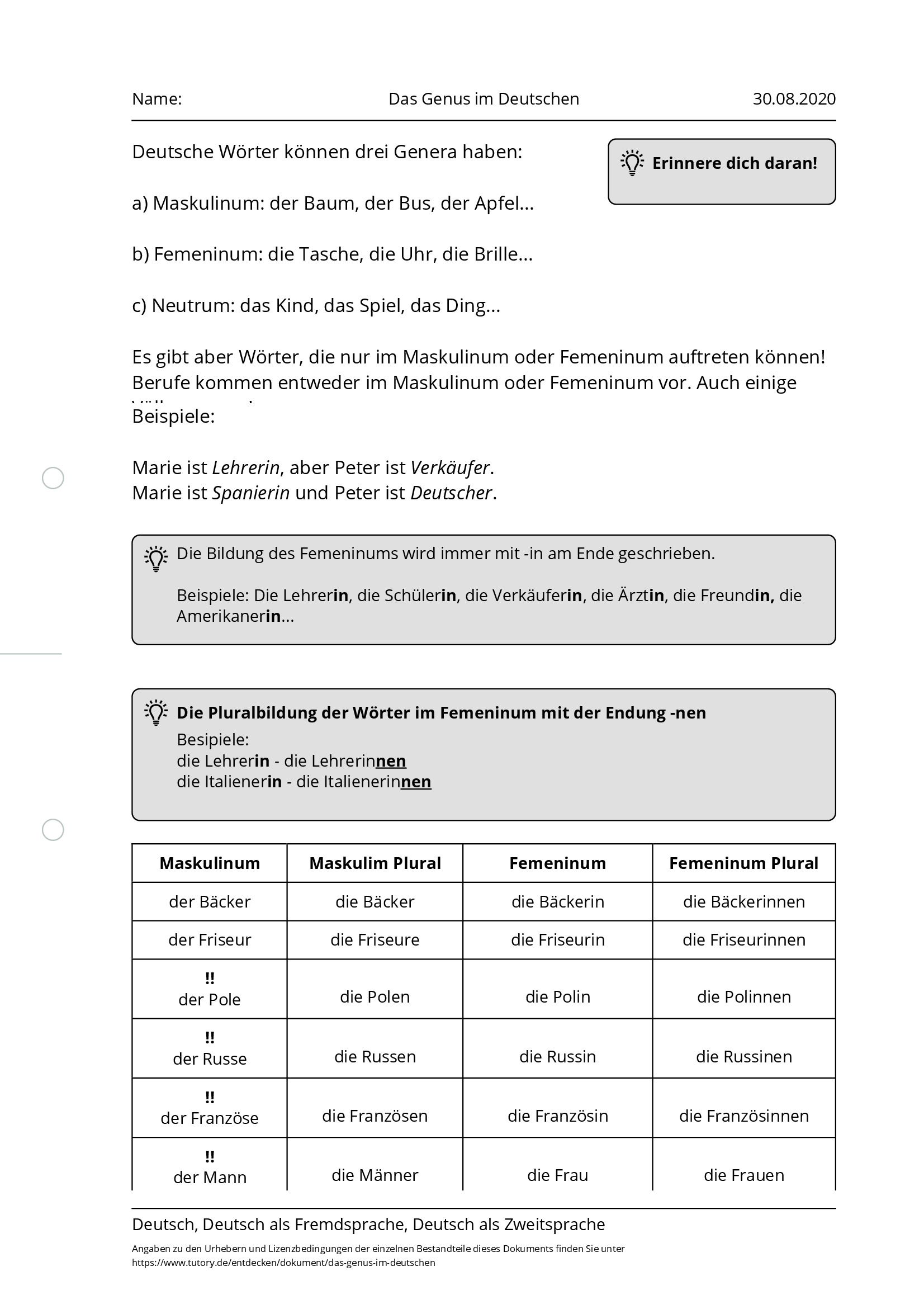 Arbeitsblatt - Das Genus Im Deutschen - Deutsch & Deutsch Als ...