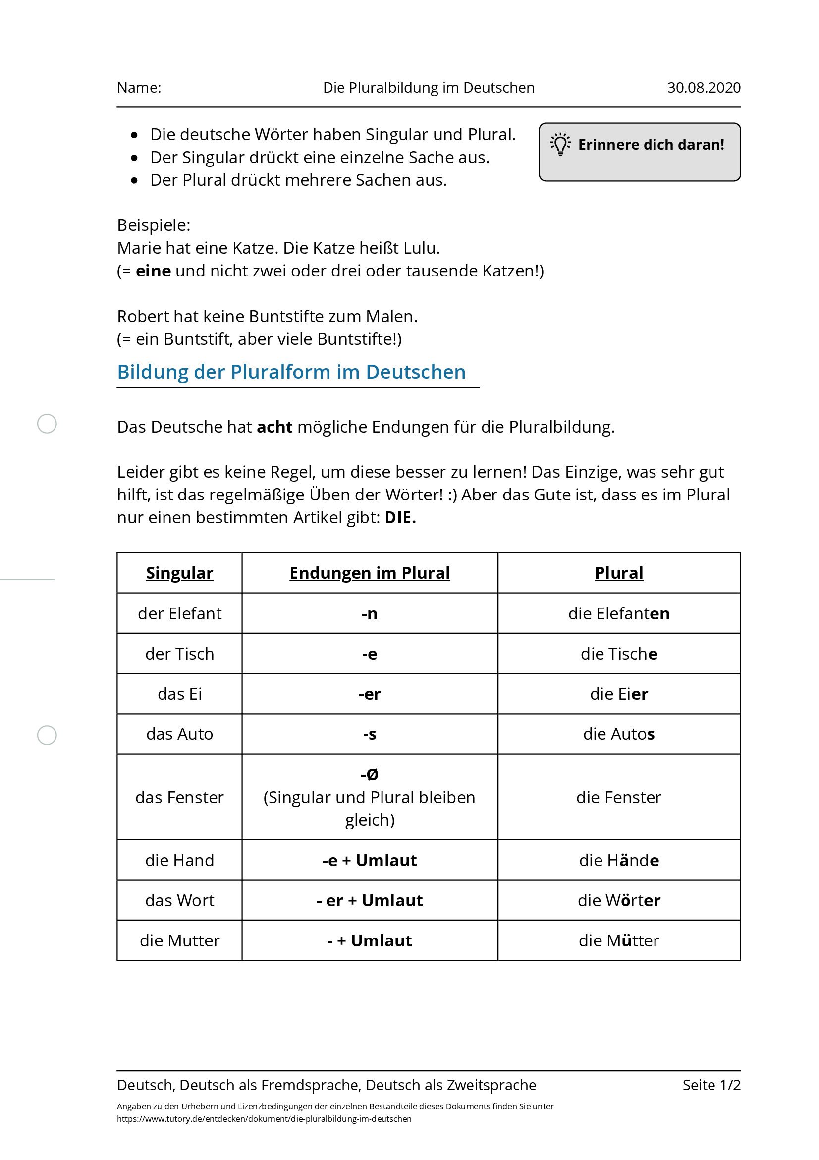 die-pluralbildung-im-deutschen.jpg?t=159