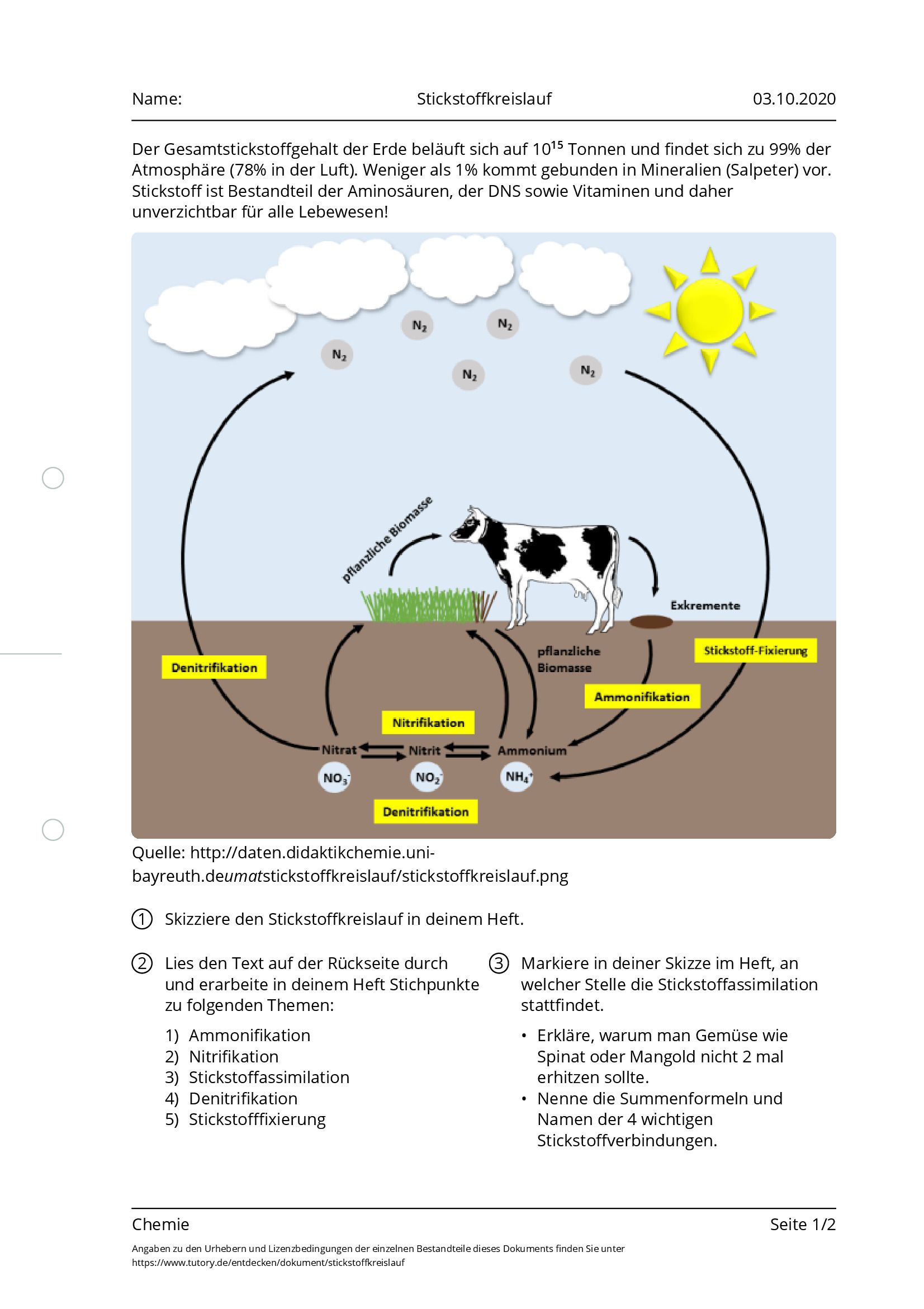 Arbeitsblatt - Stickstoffkreislauf - Chemie - Tutory.de